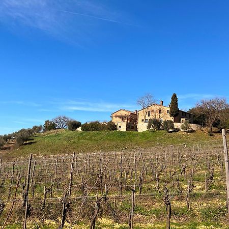 Podere Sole Trequanda Luaran gambar