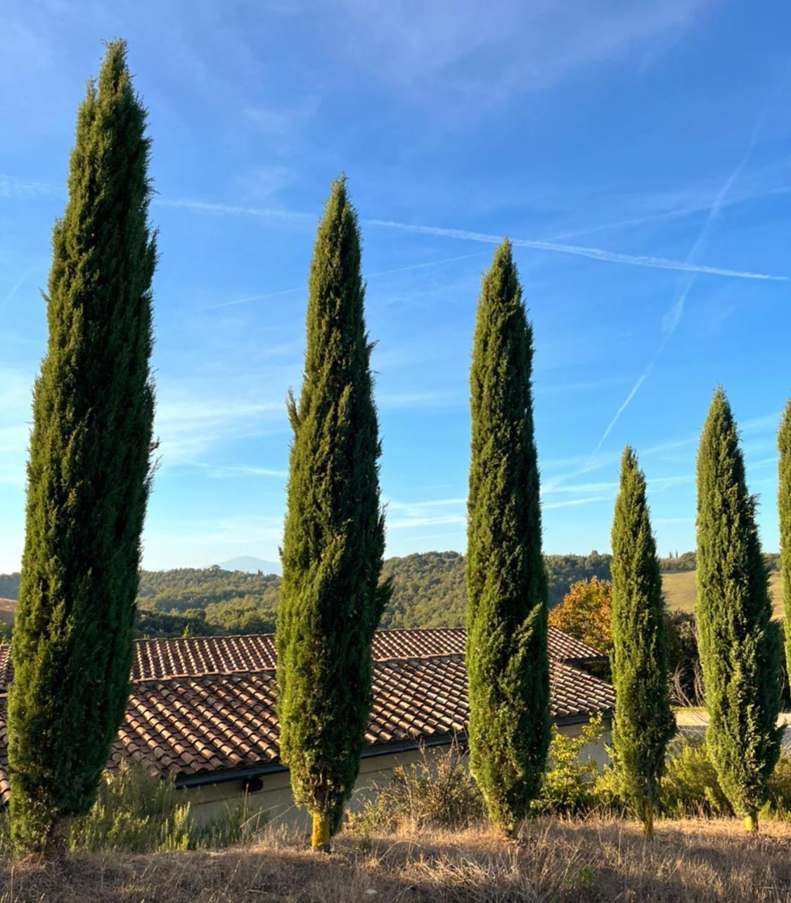 Podere Sole Trequanda Luaran gambar