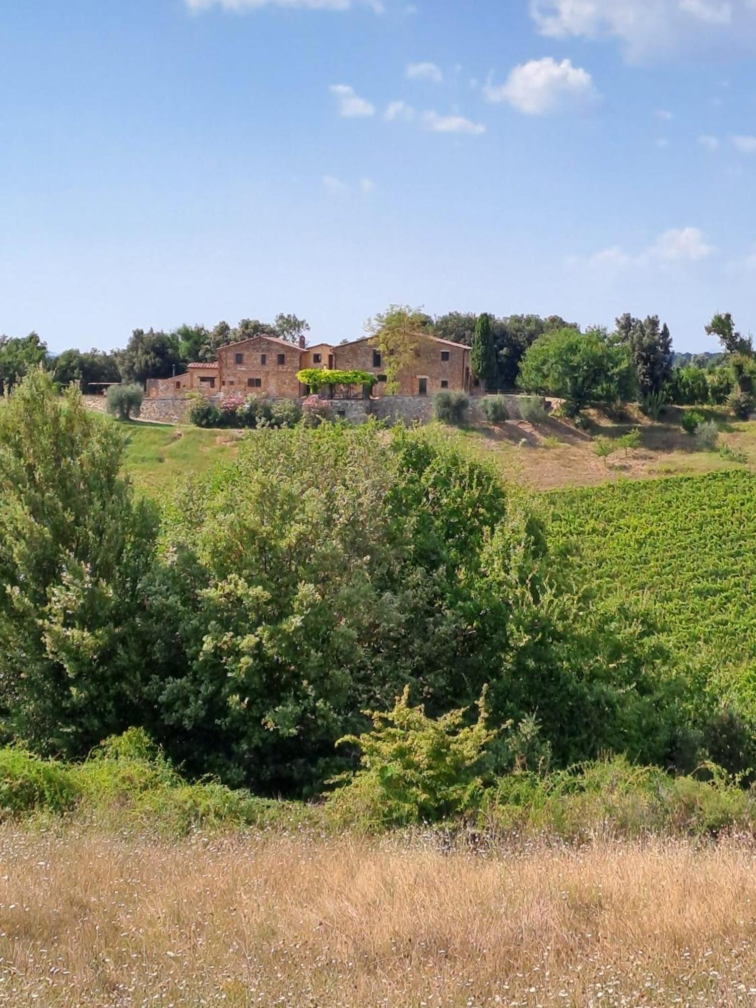 Podere Sole Trequanda Luaran gambar